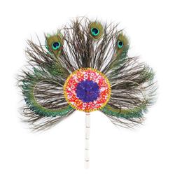 Peacock Feather Hand Fan 2- More Pankh